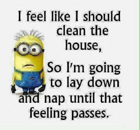 I feel like cleaning take a nap until it passes