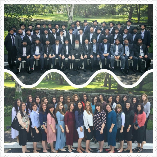 cyp kinus 2016.jpg